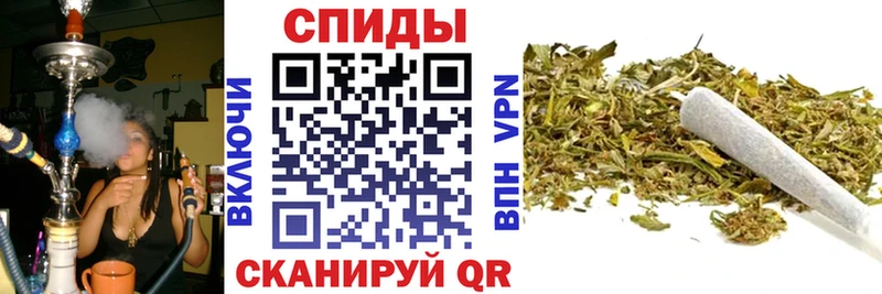 БУТИРАТ Butirat hydra ССЫЛКА Княгинино