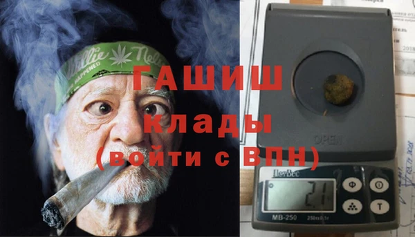 индика Алзамай