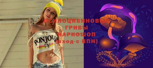 индика Алзамай
