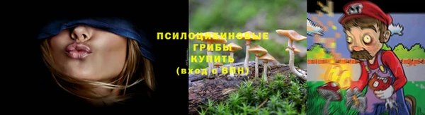 гидра Алексин